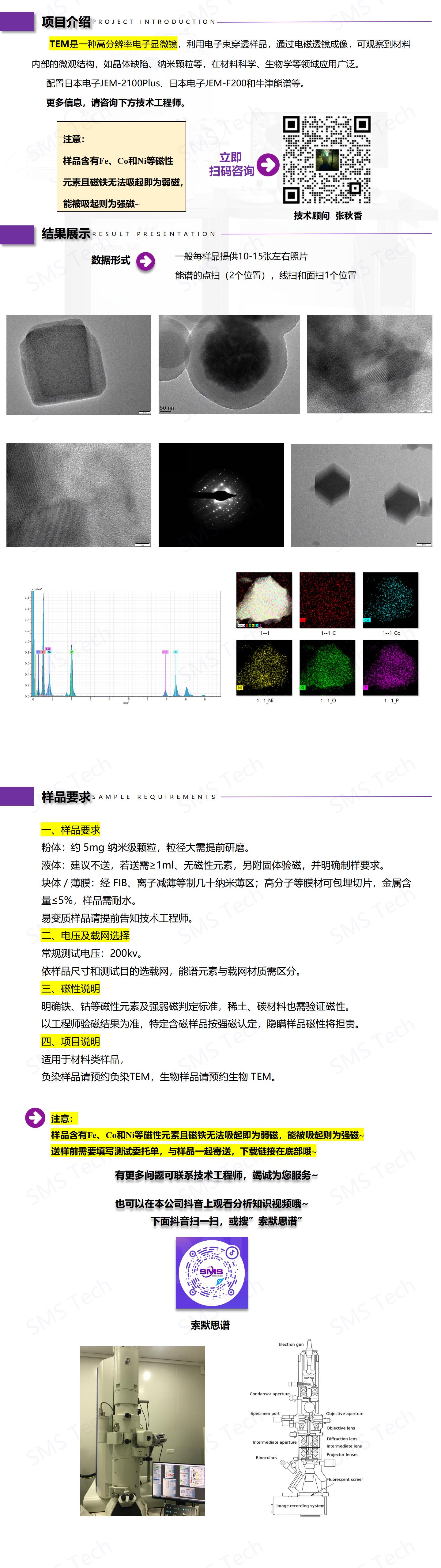 磁性TEM_01.jpg